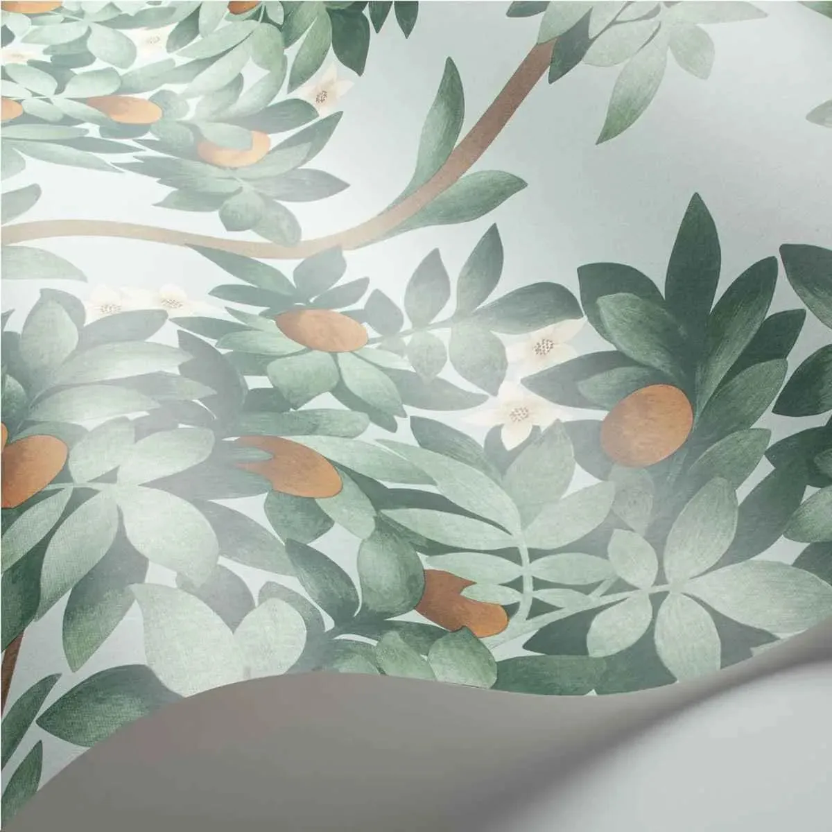 Cole & Son 'Orange Blossom - Burnt Orange & Mint on Seafoam' Wallpaper