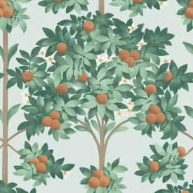 Cole & Son 'Orange Blossom - Burnt Orange & Mint on Seafoam' Wallpaper