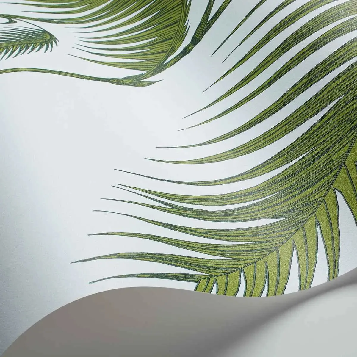 Cole & Son 'Palm Leaves - Leaf Green on Sea Foam' Wallpaper