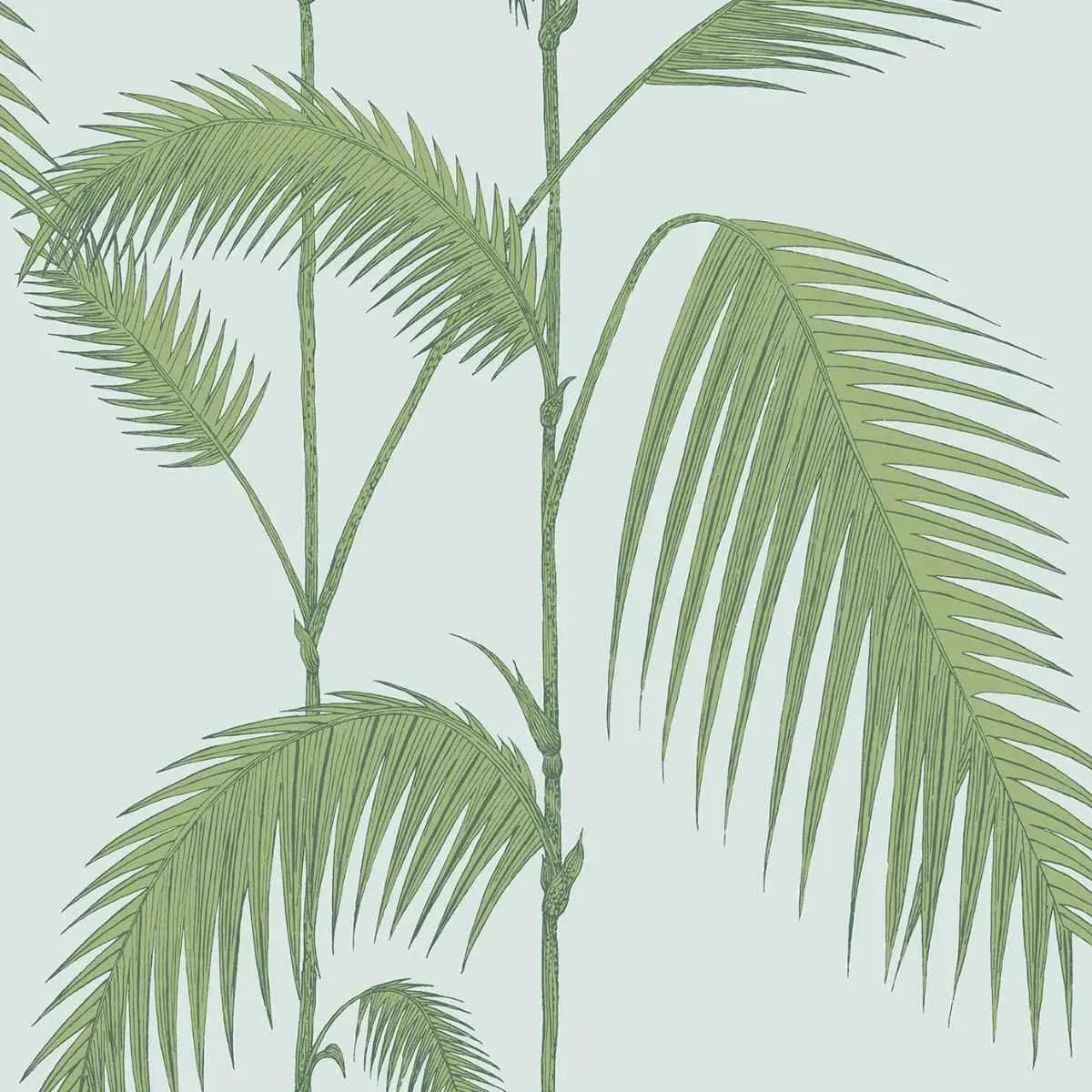 Cole & Son 'Palm Leaves - Leaf Green on Sea Foam' Wallpaper