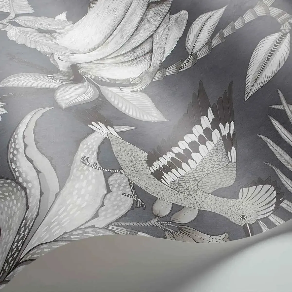 Cole & Son 'Savuti - Soot on Charcoal' Wallpaper