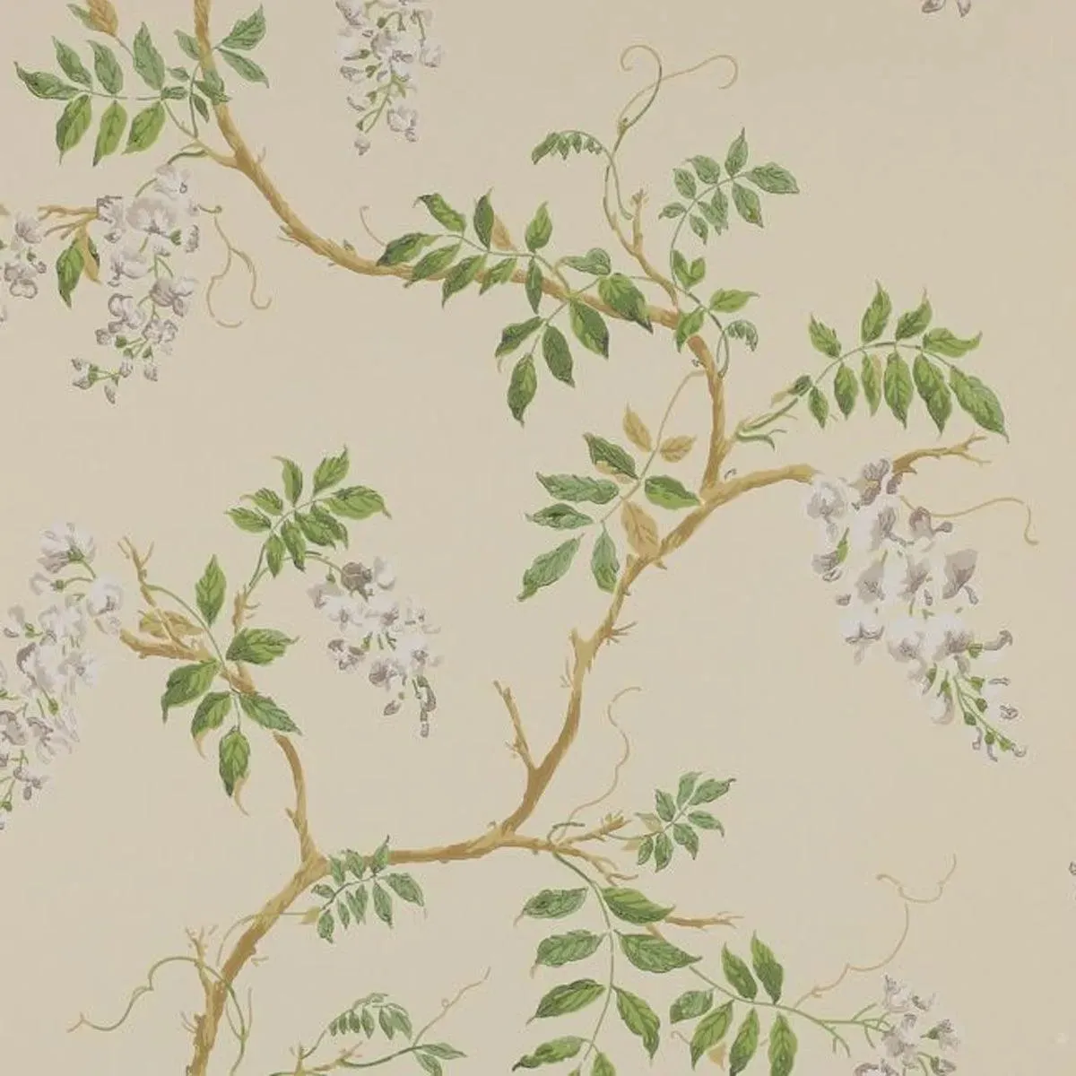Colefax & Fowler - Alderney Wallpaper