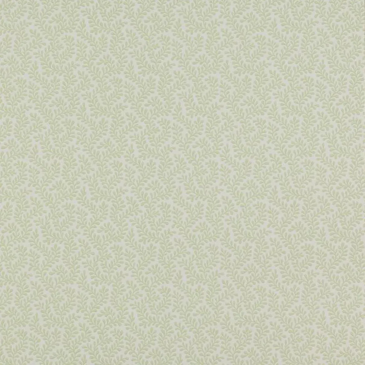 Colefax & Fowler - Rushmere Wallpaper